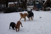 janvier 2003_0285